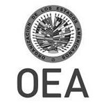 oea-nuevo